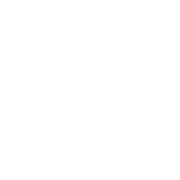 Shirin Rabi Photography